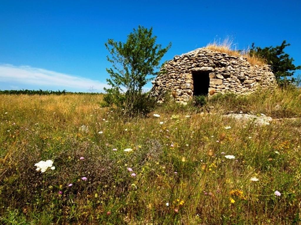 Cefalicchio B&B Каноза-ді-Пулья Екстер'єр фото